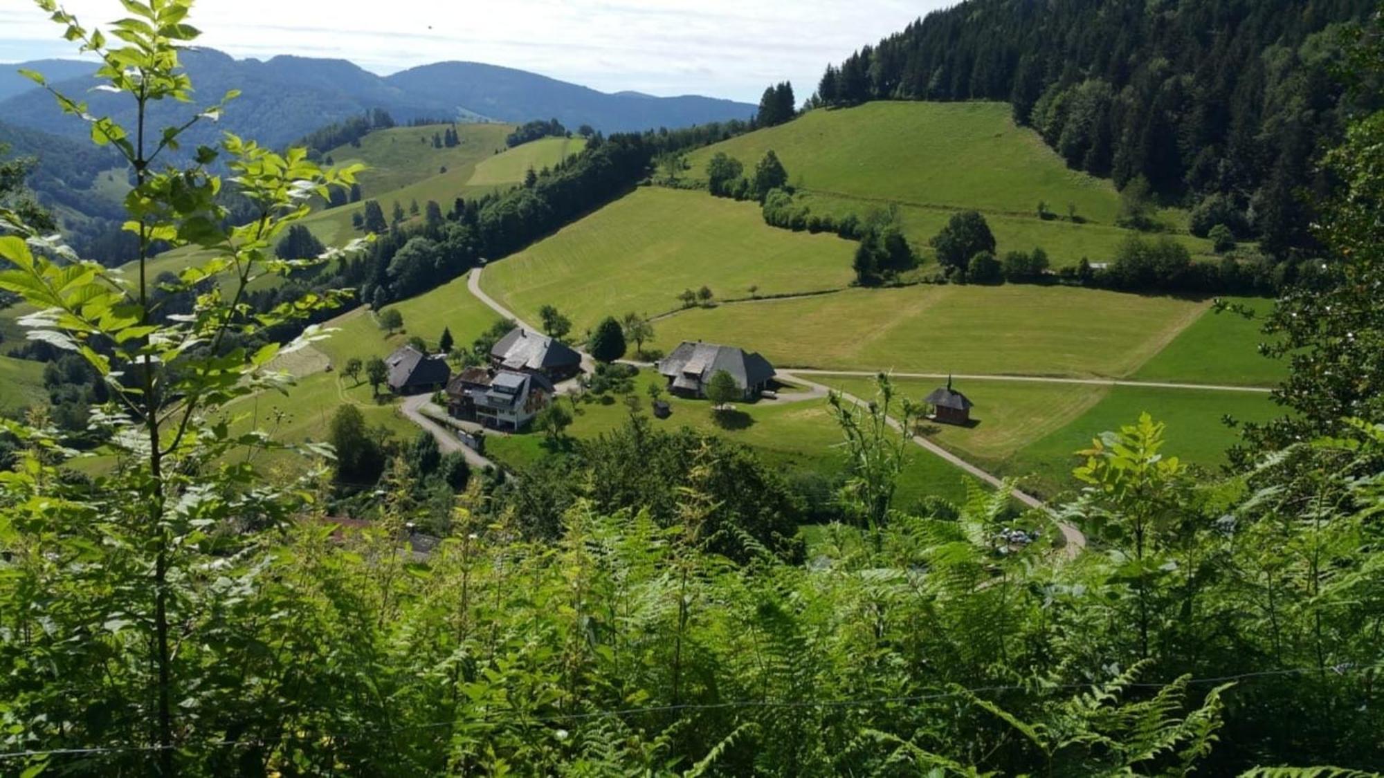 SchonenbergHaus Foehrenbach公寓 外观 照片
