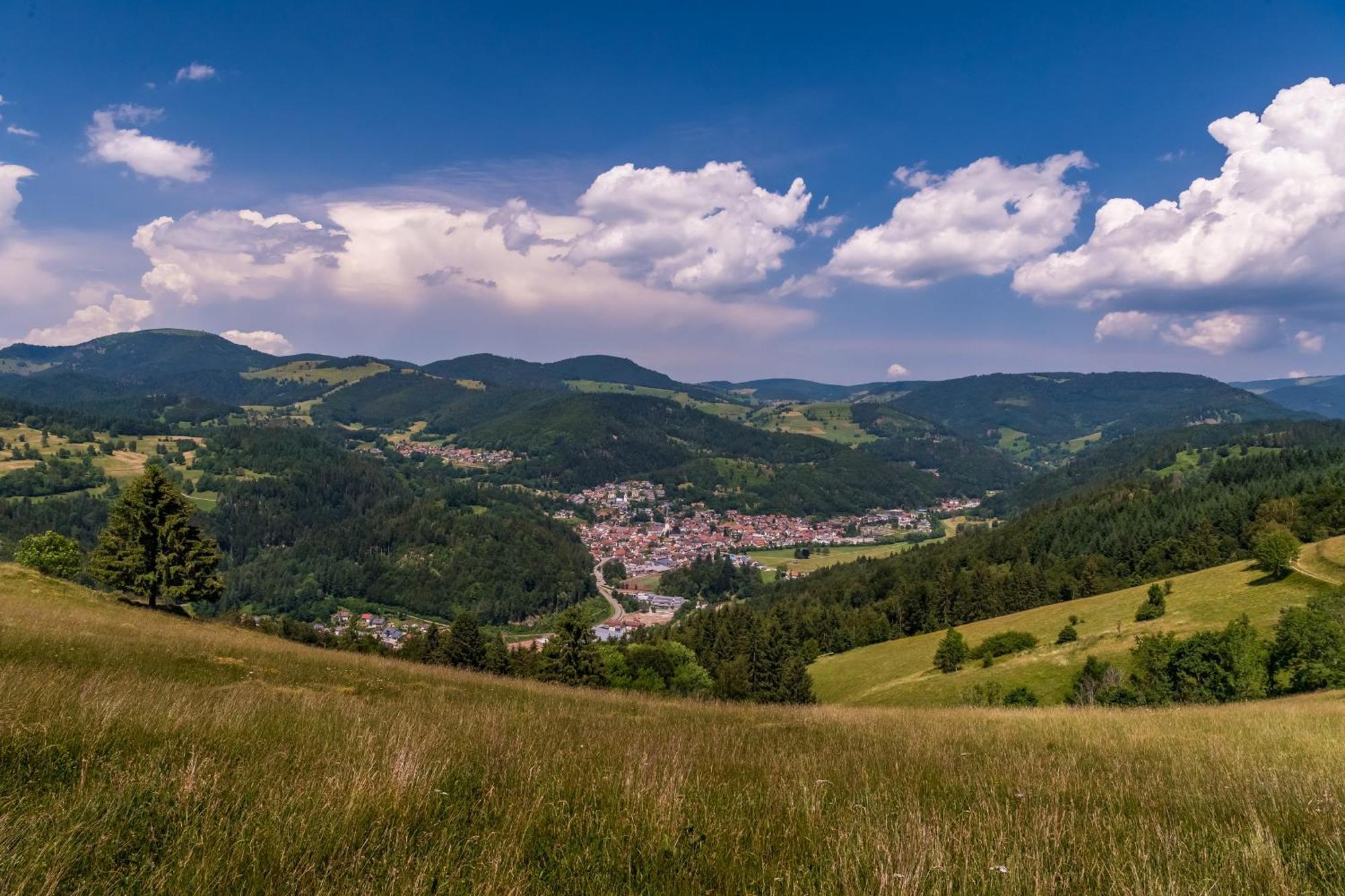 SchonenbergHaus Foehrenbach公寓 外观 照片