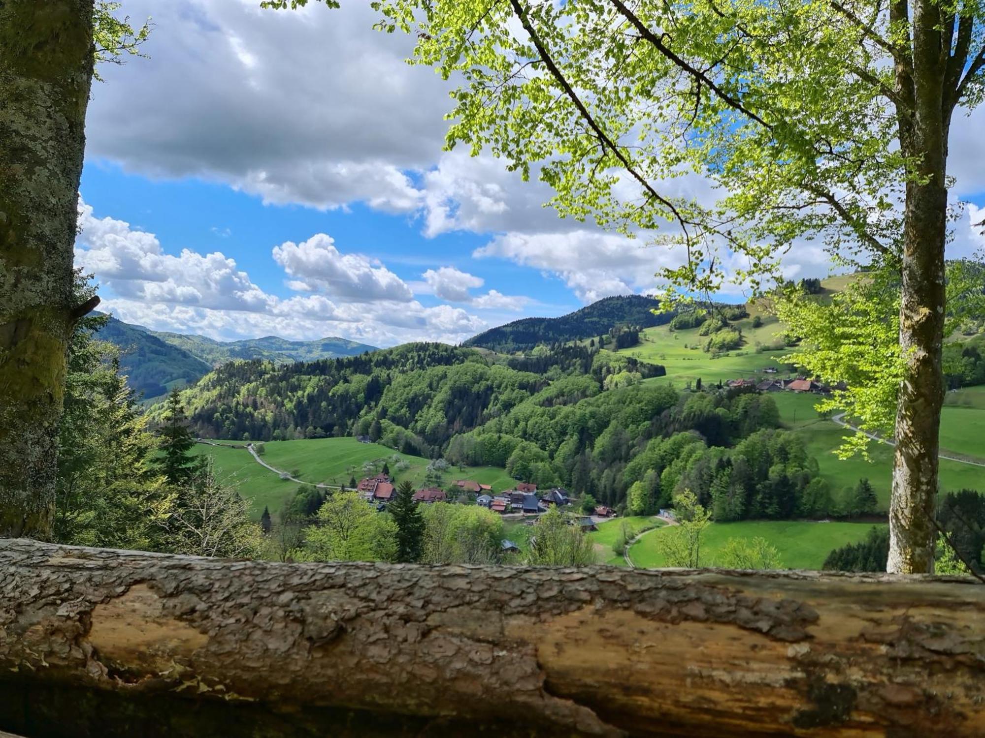 SchonenbergHaus Foehrenbach公寓 外观 照片