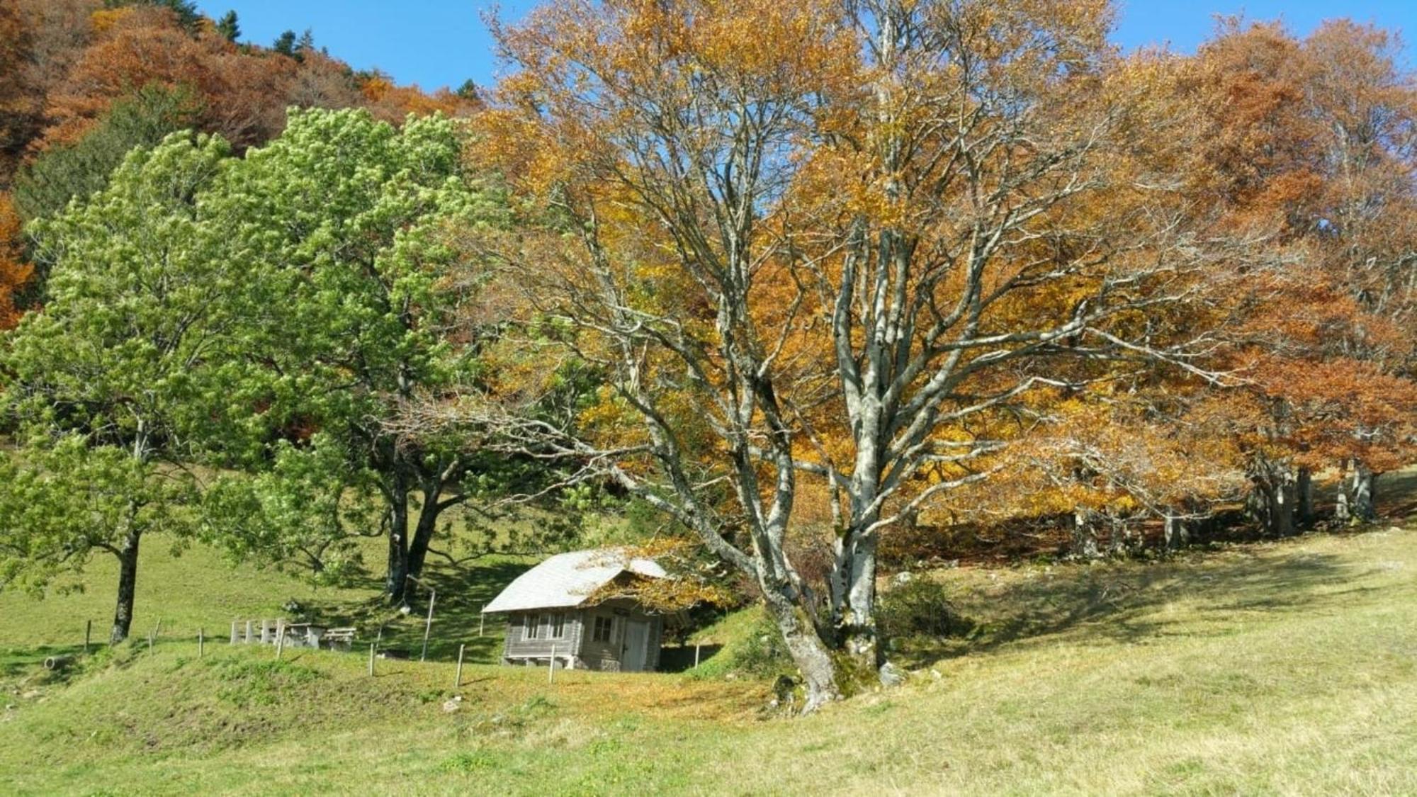 SchonenbergHaus Foehrenbach公寓 外观 照片