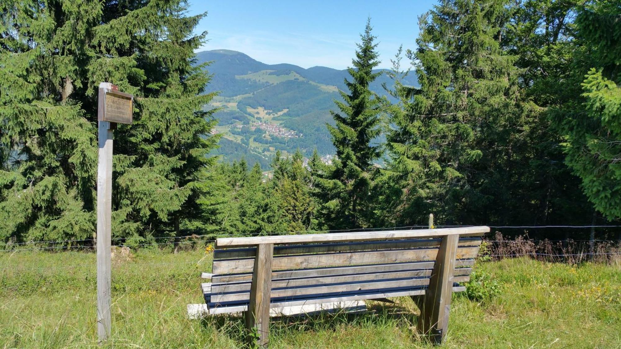 SchonenbergHaus Foehrenbach公寓 外观 照片