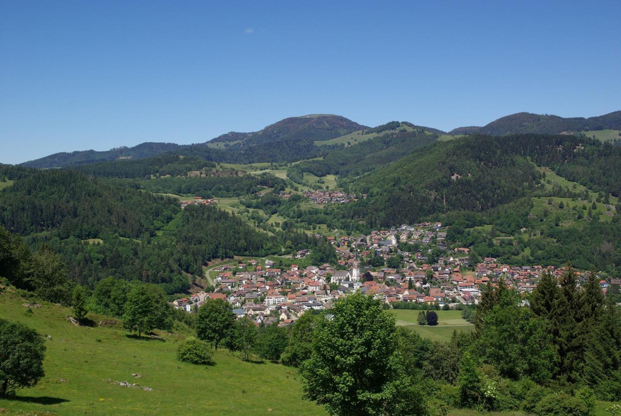 SchonenbergHaus Foehrenbach公寓 外观 照片